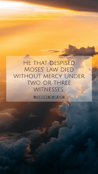 Picture 07 - Hebrews 10:28 KJV Mobile Phone Wallpaper - He that despised Moses' law died without mercy - Mobile Bible Verse Wallpaper