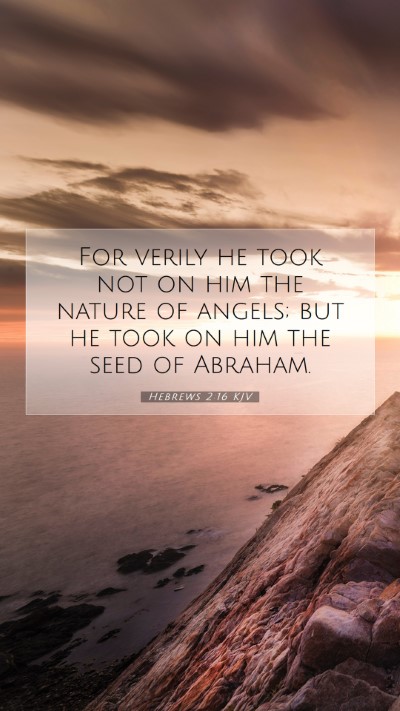 Picture 07 - Hebrews 2:16 KJV Mobile Phone Wallpaper - For verily he took not on him the nature of - Mobile Bible Verse Wallpaper