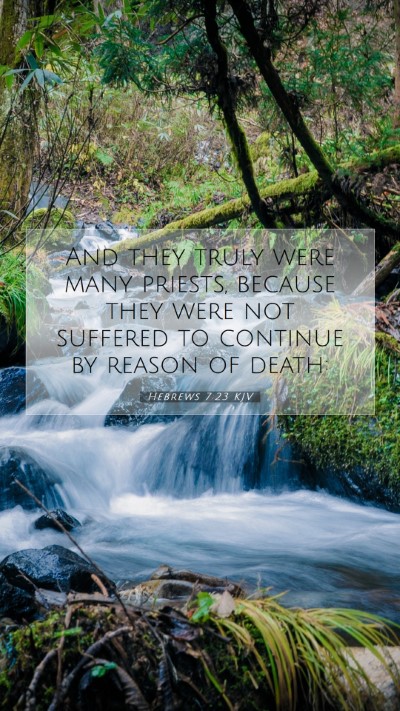 Picture 07 - Hebrews 7:23 KJV Mobile Phone Wallpaper - And they truly were many priests, because they - Mobile Bible Verse Wallpaper