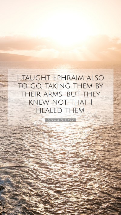 Picture 07 - Hosea 11:3 KJV Mobile Phone Wallpaper - I taught Ephraim also to go, taking them by their - Mobile Bible Verse Wallpaper