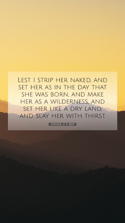 Picture 07 - Hosea 2:3 KJV Mobile Phone Wallpaper - Lest I strip her naked, and set her as in the day - Mobile Bible Verse Wallpaper