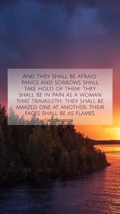 Picture 07 - Isaiah 13:8 KJV Mobile Phone Wallpaper - And they shall be afraid: pangs and sorrows shall - Mobile Bible Verse Wallpaper