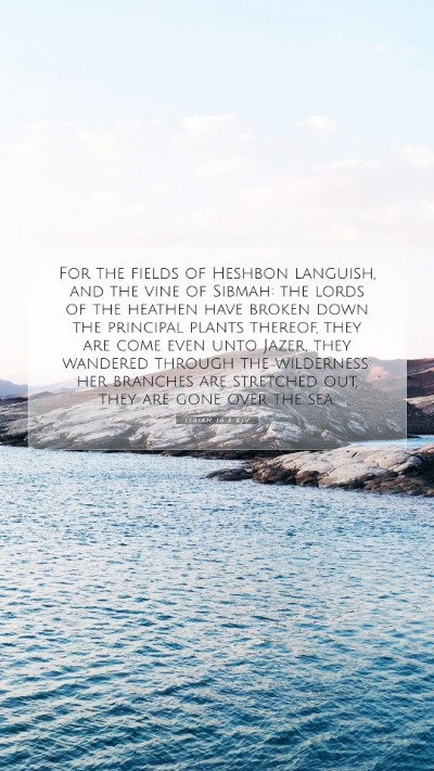 Picture 07 - Isaiah 16:8 KJV Mobile Phone Wallpaper - For the fields of Heshbon languish, and the vine - Mobile Bible Verse Wallpaper