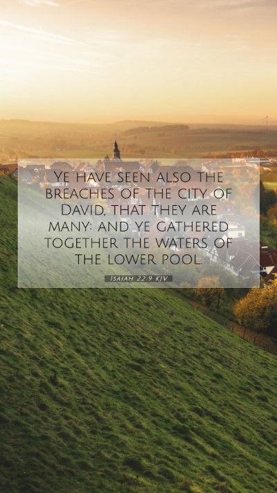 Picture 07 - Isaiah 22:9 KJV Mobile Phone Wallpaper - Ye have seen also the breaches of the city of - Mobile Bible Verse Wallpaper