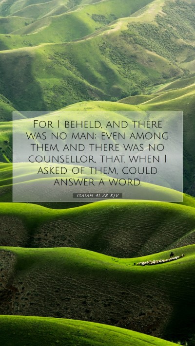 Picture 07 - Isaiah 41:28 KJV Mobile Phone Wallpaper - For I beheld, and there was no man; even among - Mobile Bible Verse Wallpaper