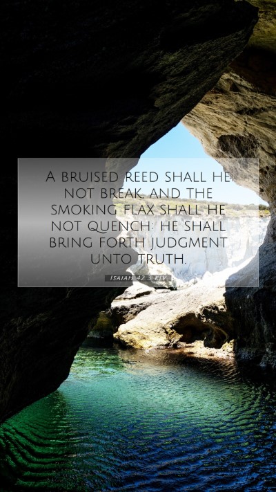 Picture 07 - Isaiah 42:3 KJV Mobile Phone Wallpaper - A bruised reed shall he not break, and the - Mobile Bible Verse Wallpaper