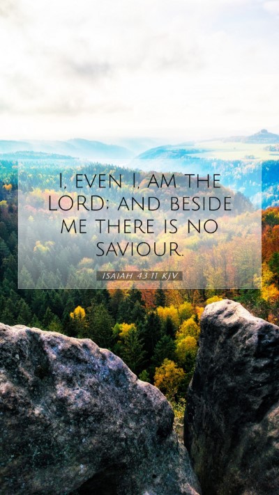 Picture 07 - Isaiah 43:11 KJV Mobile Phone Wallpaper - I, even I, am the LORD; and beside me there is no - Mobile Bible Verse Wallpaper