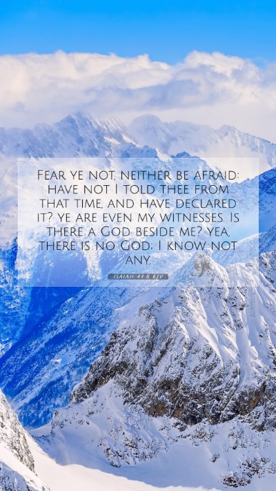 Picture 07 - Isaiah 44:8 KJV Mobile Phone Wallpaper - Fear ye not, neither be afraid: have not I told - Mobile Bible Verse Wallpaper