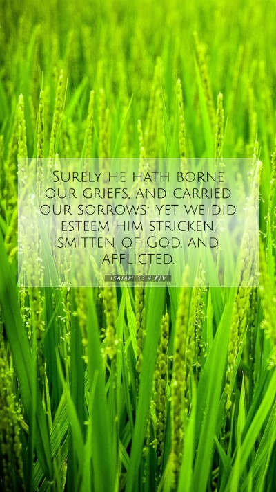 Picture 07 - Isaiah 53:4 KJV Mobile Phone Wallpaper - Surely he hath borne our griefs, and carried our - Mobile Bible Verse Wallpaper