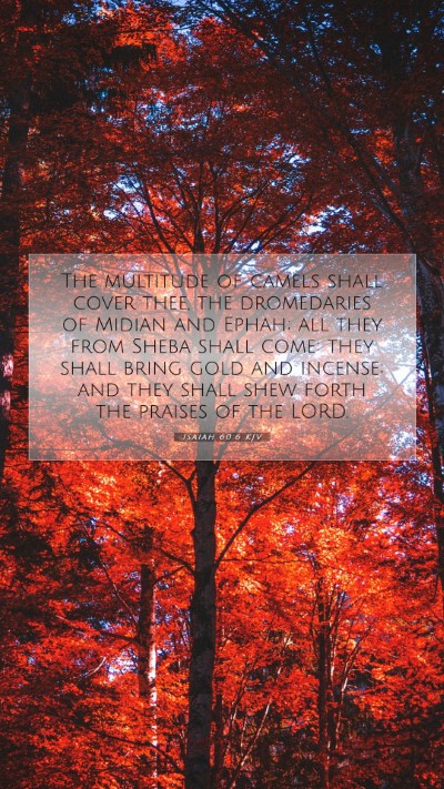 Picture 07 - Isaiah 60:6 KJV Mobile Phone Wallpaper - The multitude of camels shall cover thee, the - Mobile Bible Verse Wallpaper