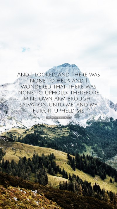 Picture 07 - Isaiah 63:5 KJV Mobile Phone Wallpaper - And I looked, and there was none to help; and I - Mobile Bible Verse Wallpaper