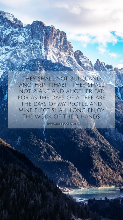 Picture 07 - Isaiah 65:22 KJV Mobile Phone Wallpaper - They shall not build, and another inhabit; they - Mobile Bible Verse Wallpaper