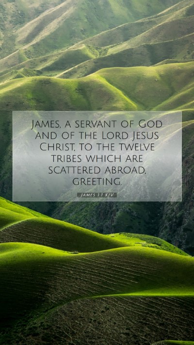 Picture 07 - James 1:1 KJV Mobile Phone Wallpaper - James, a servant of God and of the Lord Jesus - Mobile Bible Verse Wallpaper