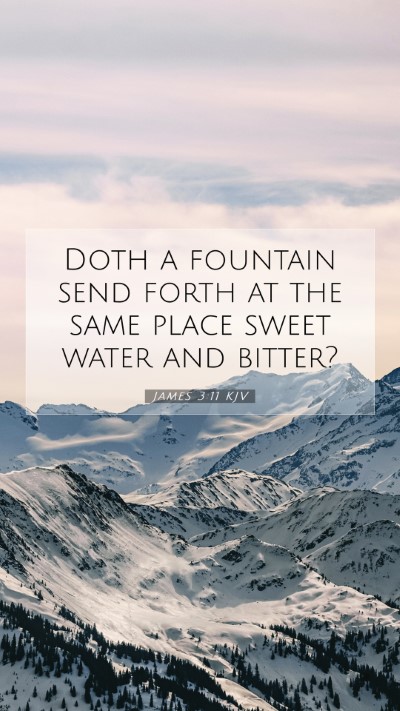 Picture 07 - James 3:11 KJV Mobile Phone Wallpaper - Doth a fountain send forth at the same place - Mobile Bible Verse Wallpaper