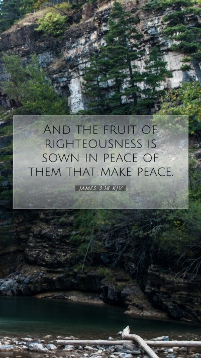 Picture 07 - James 3:18 KJV Mobile Phone Wallpaper - And the fruit of righteousness is sown in peace - Mobile Bible Verse Wallpaper