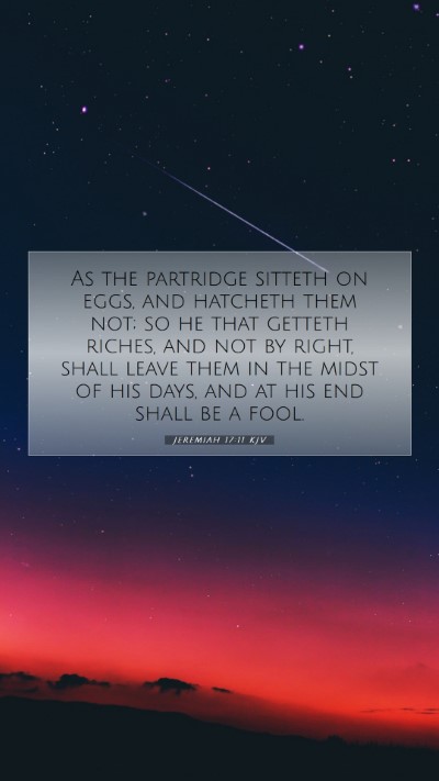 Picture 07 - Jeremiah 17:11 KJV Mobile Phone Wallpaper - As the partridge sitteth on eggs, and hatcheth - Mobile Bible Verse Wallpaper