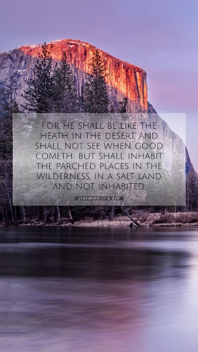Picture 07 - Jeremiah 17:6 KJV Mobile Phone Wallpaper - For he shall be like the heath in the desert, and - Mobile Bible Verse Wallpaper