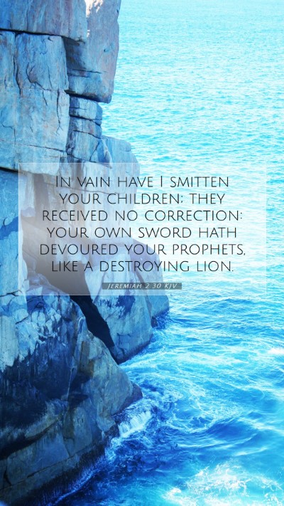 Picture 07 - Jeremiah 2:30 KJV Mobile Phone Wallpaper - In vain have I smitten your children; they - Mobile Bible Verse Wallpaper