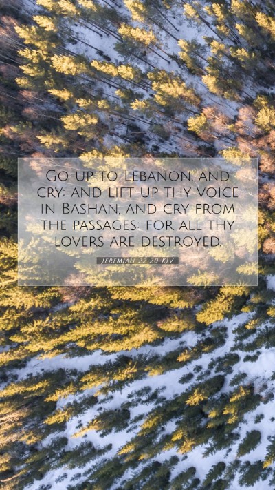 Picture 07 - Jeremiah 22:20 KJV Mobile Phone Wallpaper - Go up to Lebanon, and cry; and lift up thy voice - Mobile Bible Verse Wallpaper