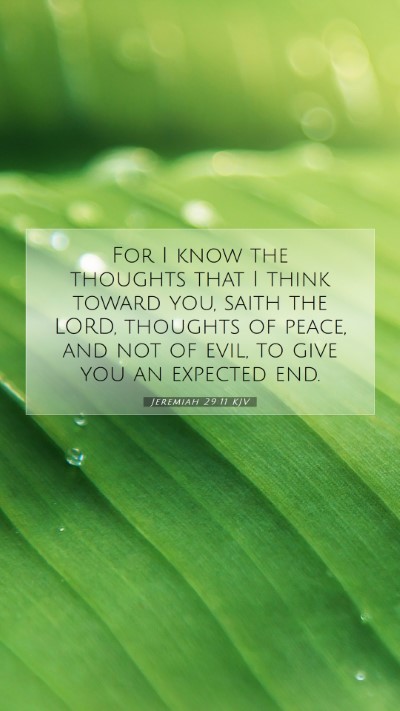 Picture 07 - Jeremiah 29:11 KJV Mobile Phone Wallpaper - For I know the thoughts that I think toward you, - Mobile Bible Verse Wallpaper