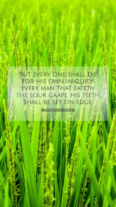 Picture 07 - Jeremiah 31:30 KJV Mobile Phone Wallpaper - But every one shall die for his own iniquity: - Mobile Bible Verse Wallpaper