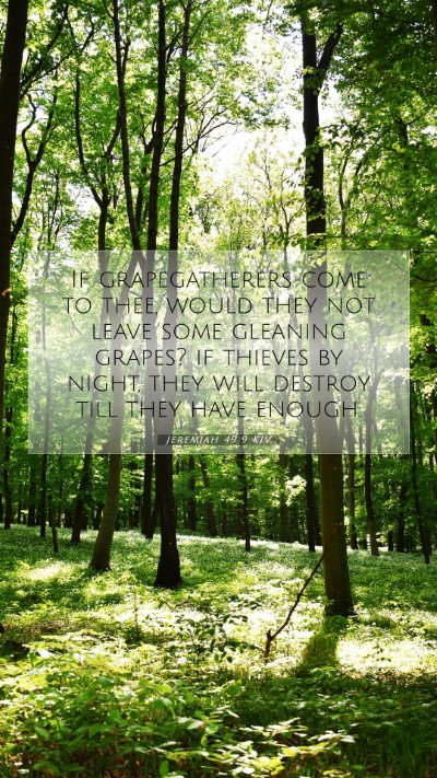 Picture 07 - Jeremiah 49:9 KJV Mobile Phone Wallpaper - If grapegatherers come to thee, would they not - Mobile Bible Verse Wallpaper