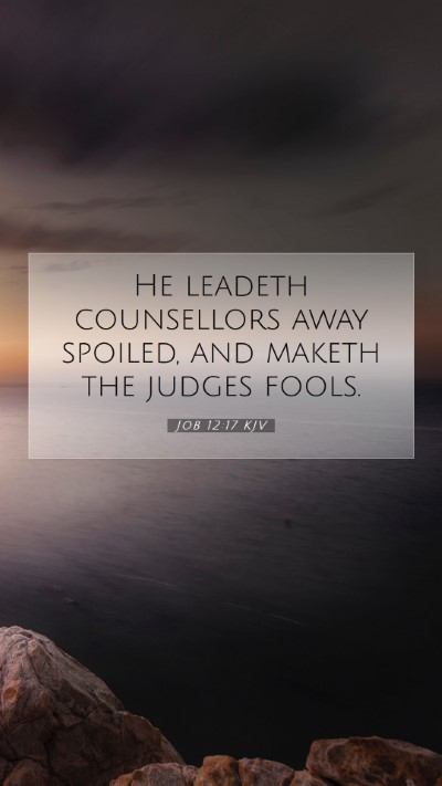 Picture 07 - Job 12:17 KJV Mobile Phone Wallpaper - He leadeth counsellors away spoiled, and maketh - Mobile Bible Verse Wallpaper