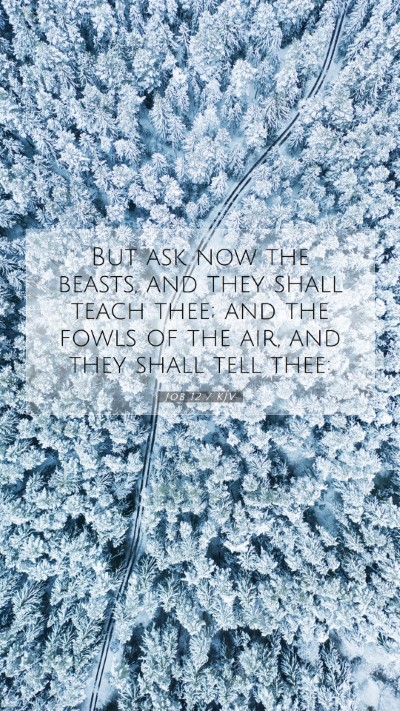 Picture 07 - Job 12:7 KJV Mobile Phone Wallpaper - But ask now the beasts, and they shall teach - Mobile Bible Verse Wallpaper