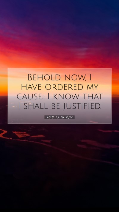 Picture 07 - Job 13:18 KJV Mobile Phone Wallpaper - Behold now, I have ordered my cause; I know that - Mobile Bible Verse Wallpaper