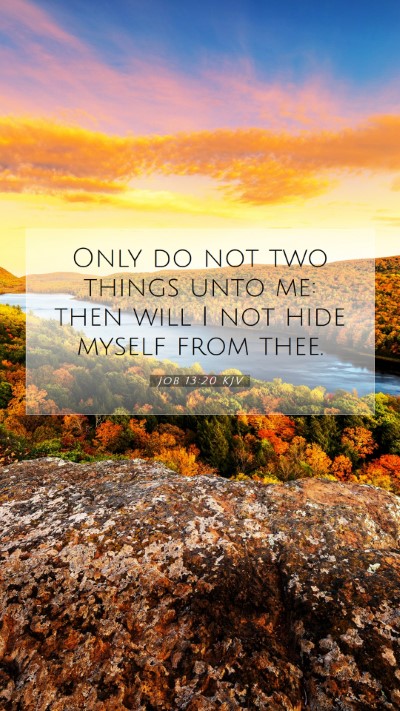 Picture 07 - Job 13:20 KJV Mobile Phone Wallpaper - Only do not two things unto me: then will I not - Mobile Bible Verse Wallpaper