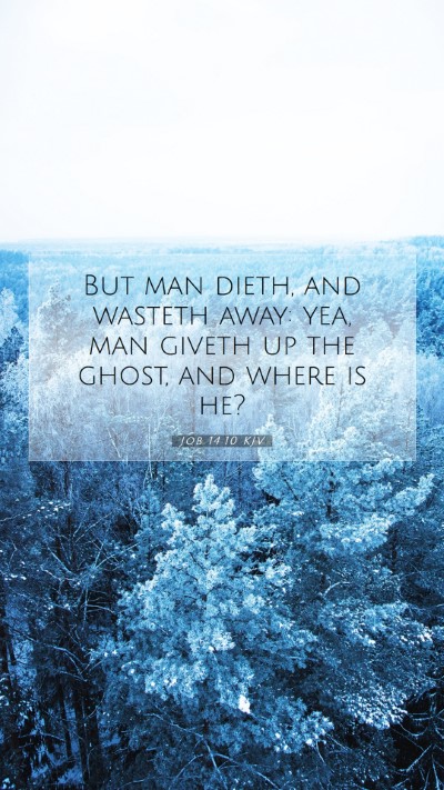 Picture 07 - Job 14:10 KJV Mobile Phone Wallpaper - But man dieth, and wasteth away: yea, man giveth - Mobile Bible Verse Wallpaper