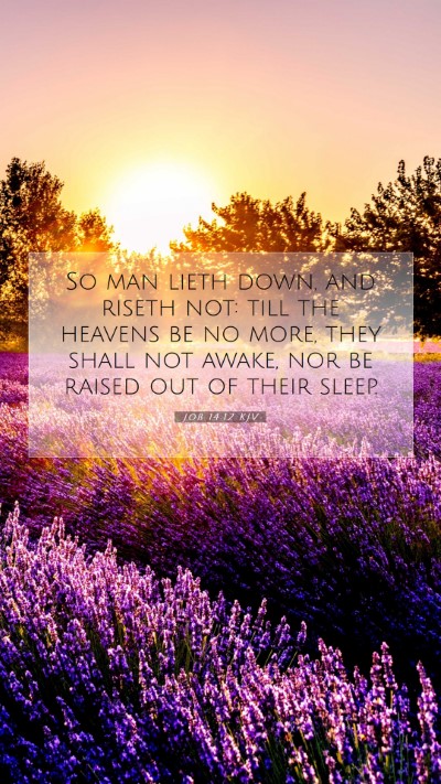 Picture 07 - Job 14:12 KJV Mobile Phone Wallpaper - So man lieth down, and riseth not: till the - Mobile Bible Verse Wallpaper