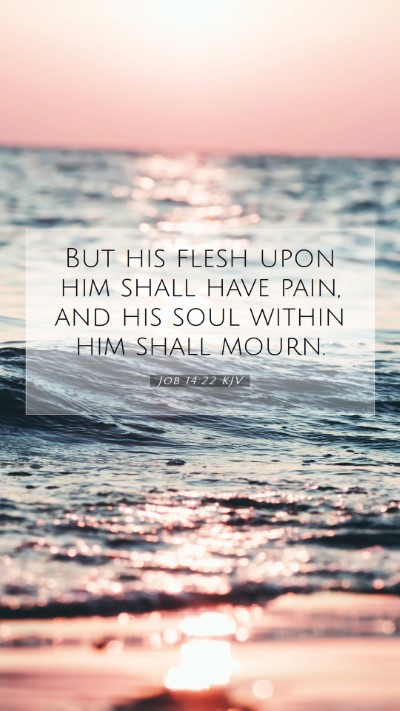 Picture 07 - Job 14:22 KJV Mobile Phone Wallpaper - But his flesh upon him shall have pain, and his - Mobile Bible Verse Wallpaper