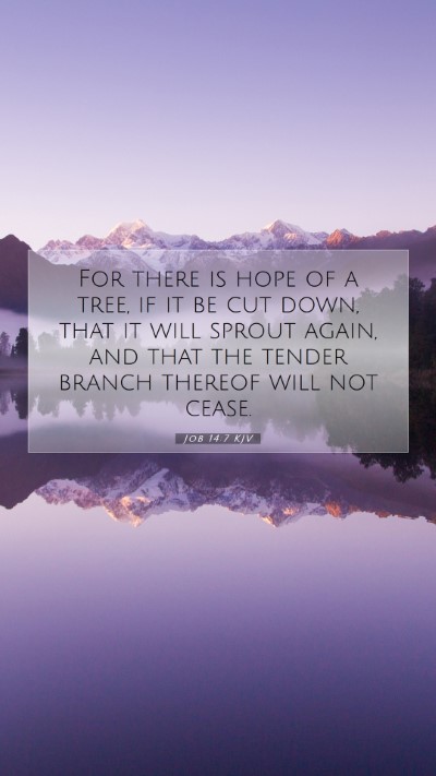 Picture 07 - Job 14:7 KJV Mobile Phone Wallpaper - For there is hope of a tree, if it be cut down, - Mobile Bible Verse Wallpaper