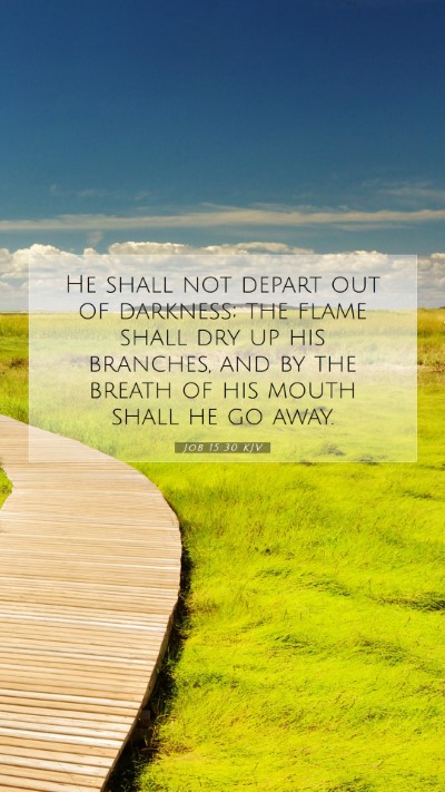 Picture 07 - Job 15:30 KJV Mobile Phone Wallpaper - He shall not depart out of darkness; the flame - Mobile Bible Verse Wallpaper