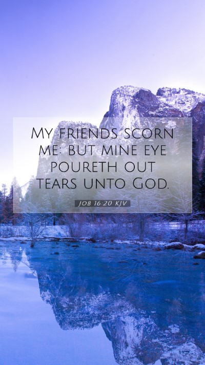 Picture 07 - Job 16:20 KJV Mobile Phone Wallpaper - My friends scorn me: but mine eye poureth out - Mobile Bible Verse Wallpaper