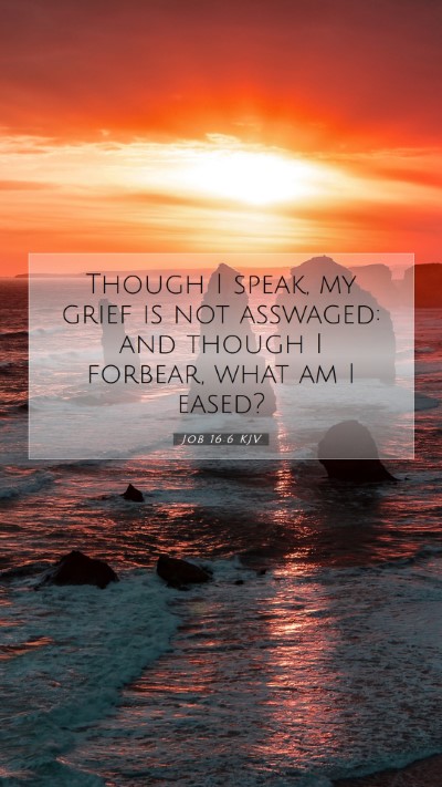 Picture 07 - Job 16:6 KJV Mobile Phone Wallpaper - Though I speak, my grief is not asswaged: and - Mobile Bible Verse Wallpaper