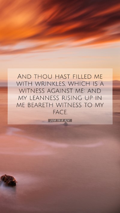 Picture 07 - Job 16:8 KJV Mobile Phone Wallpaper - And thou hast filled me with wrinkles, which is a - Mobile Bible Verse Wallpaper