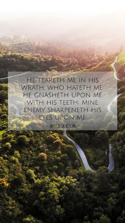 Picture 07 - Job 16:9 KJV Mobile Phone Wallpaper - He teareth me in his wrath, who hateth me: he - Mobile Bible Verse Wallpaper