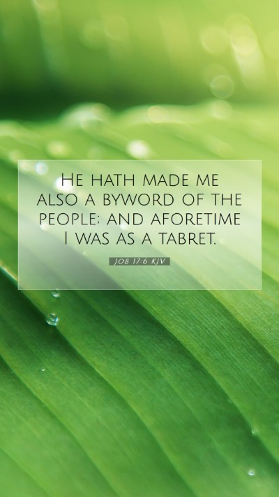 Picture 07 - Job 17:6 KJV Mobile Phone Wallpaper - He hath made me also a byword of the people; and - Mobile Bible Verse Wallpaper