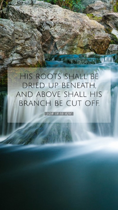 Picture 07 - Job 18:16 KJV Mobile Phone Wallpaper - His roots shall be dried up beneath, and above - Mobile Bible Verse Wallpaper