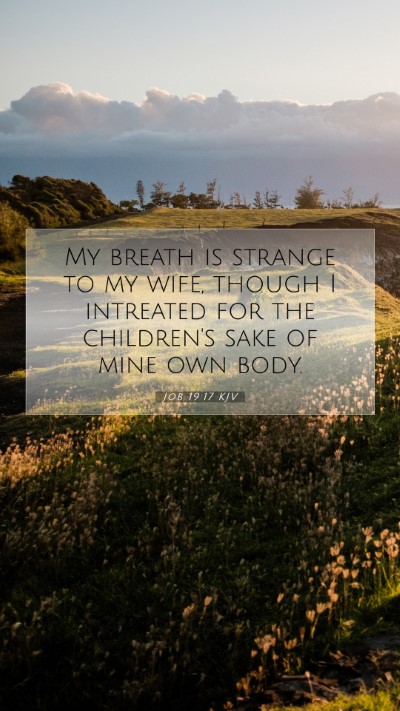 Picture 07 - Job 19:17 KJV Mobile Phone Wallpaper - My breath is strange to my wife, though I - Mobile Bible Verse Wallpaper