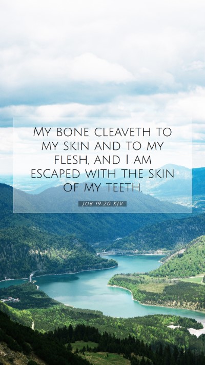 Picture 07 - Job 19:20 KJV Mobile Phone Wallpaper - My bone cleaveth to my skin and to my flesh, and - Mobile Bible Verse Wallpaper