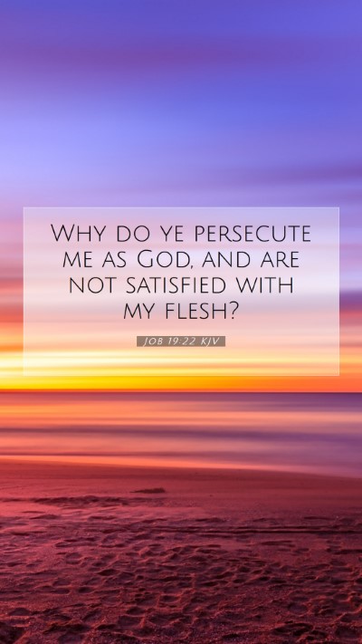 Picture 07 - Job 19:22 KJV Mobile Phone Wallpaper - Why do ye persecute me as God, and are not - Mobile Bible Verse Wallpaper