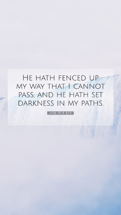 Picture 07 - Job 19:8 KJV Mobile Phone Wallpaper - He hath fenced up my way that I cannot pass, and - Mobile Bible Verse Wallpaper