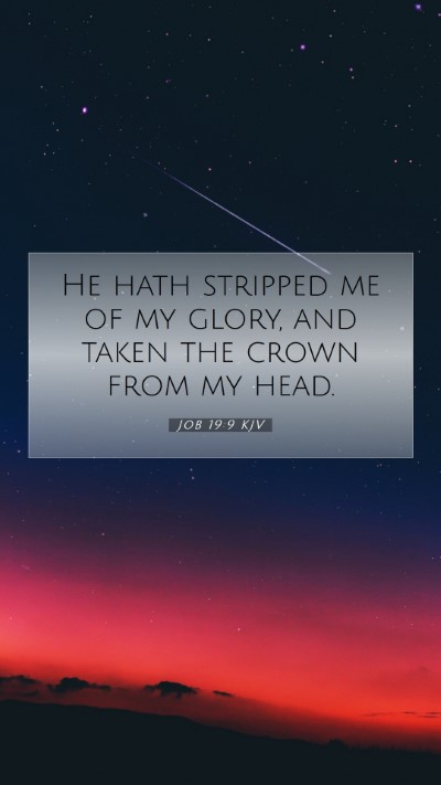Picture 07 - Job 19:9 KJV Mobile Phone Wallpaper - He hath stripped me of my glory, and taken the - Mobile Bible Verse Wallpaper