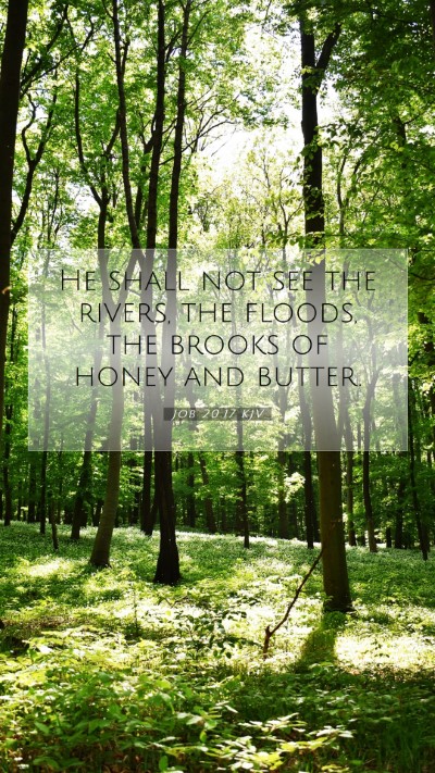 Picture 07 - Job 20:17 KJV Mobile Phone Wallpaper - He shall not see the rivers, the floods, the - Mobile Bible Verse Wallpaper