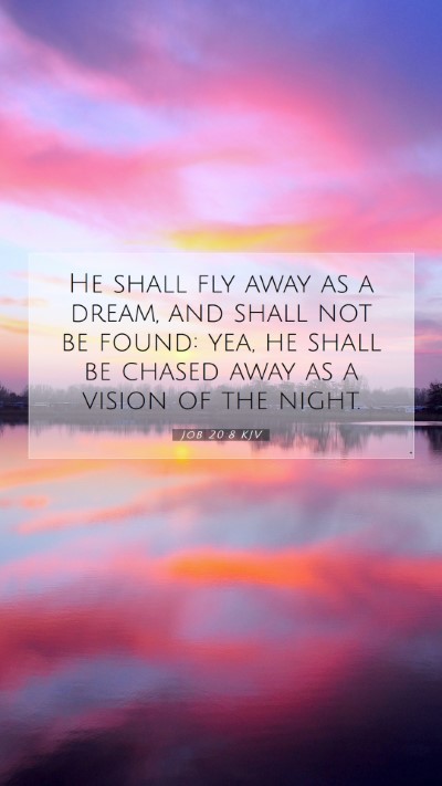 Picture 07 - Job 20:8 KJV Mobile Phone Wallpaper - He shall fly away as a dream, and shall not be - Mobile Bible Verse Wallpaper
