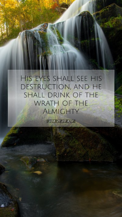 Picture 07 - Job 21:20 KJV Mobile Phone Wallpaper - His eyes shall see his destruction, and he shall - Mobile Bible Verse Wallpaper