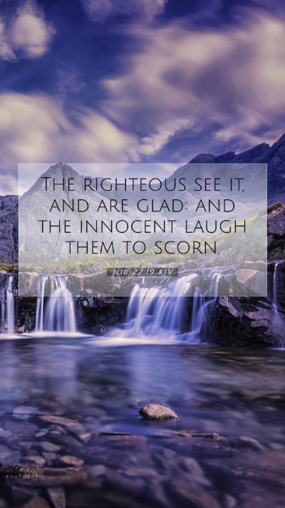 Picture 07 - Job 22:19 KJV Mobile Phone Wallpaper - The righteous see it, and are glad: and the - Mobile Bible Verse Wallpaper